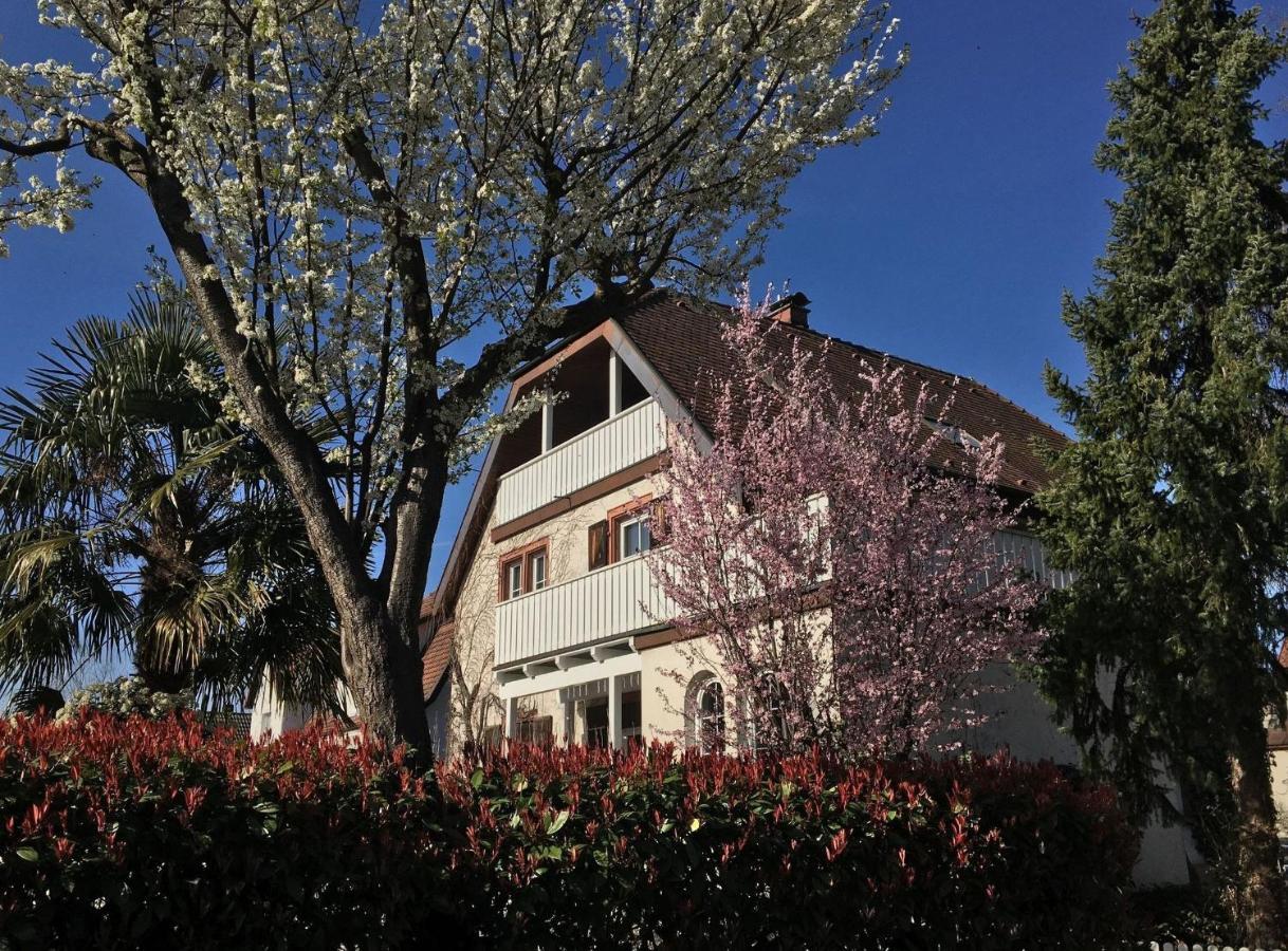 Ferienwohnung Dashaus 莱茵费尔登 外观 照片