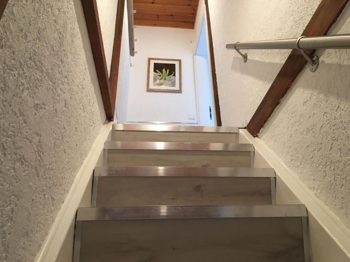 Ferienwohnung Dashaus 莱茵费尔登 外观 照片