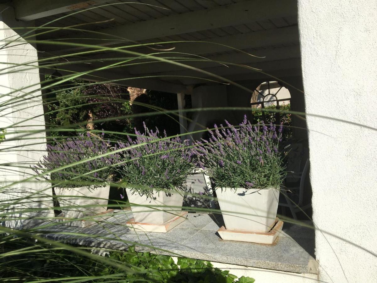 Ferienwohnung Dashaus 莱茵费尔登 外观 照片
