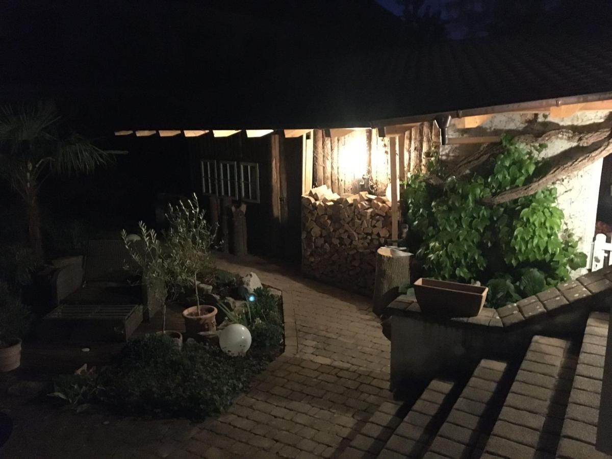 Ferienwohnung Dashaus 莱茵费尔登 外观 照片