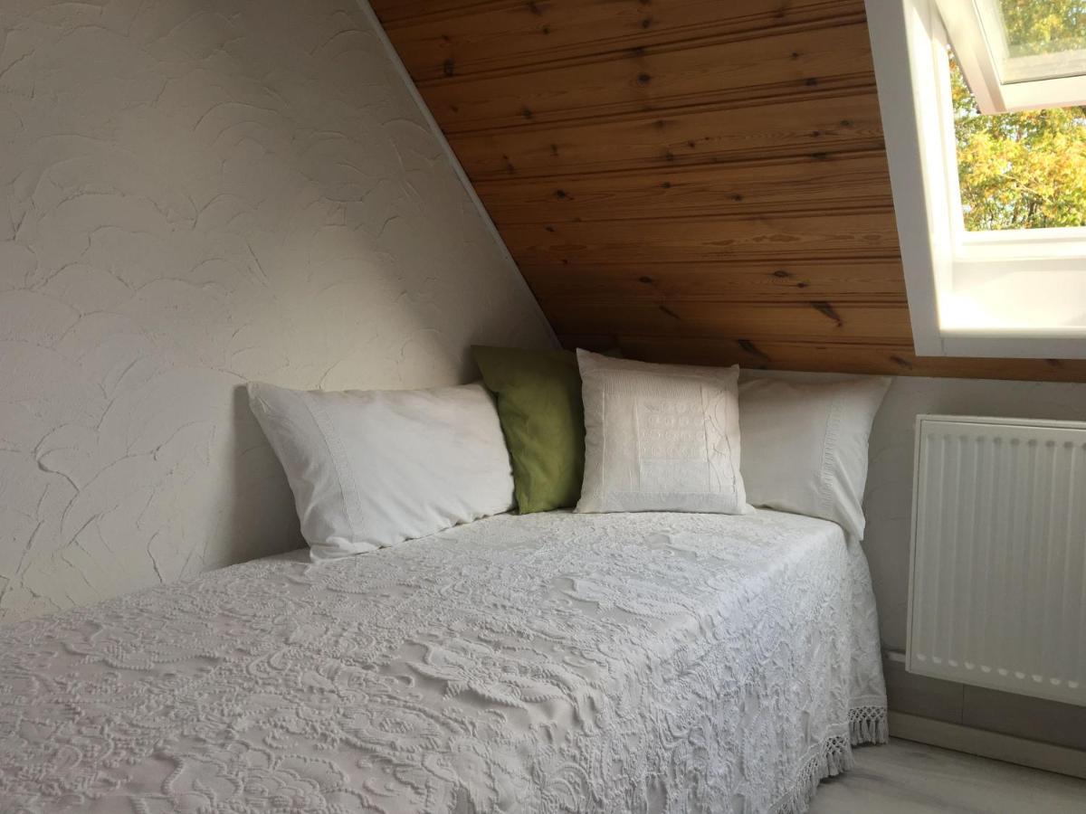 Ferienwohnung Dashaus 莱茵费尔登 外观 照片